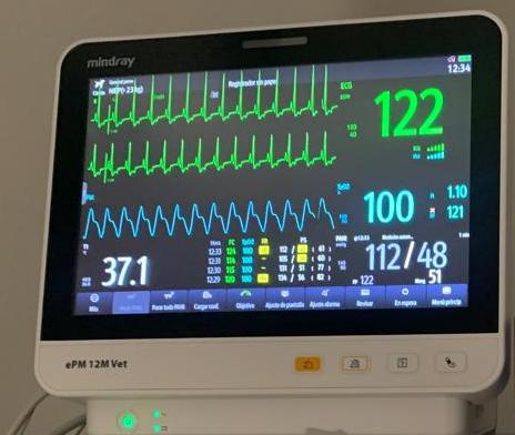 Hospitalización y cuidados intensivos