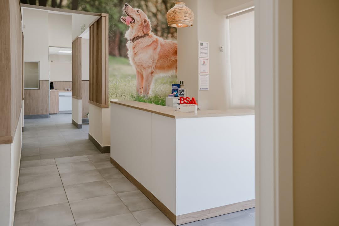 Recepción del hospital veterinario CEV Bahía Mar