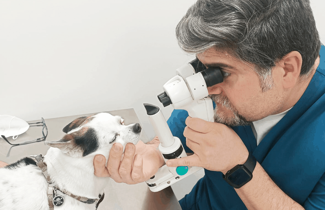 dario-cev-oftalmología